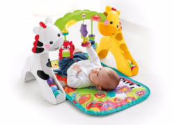 Ginásio de Atividades Crescendo Comigo Fisher Price 